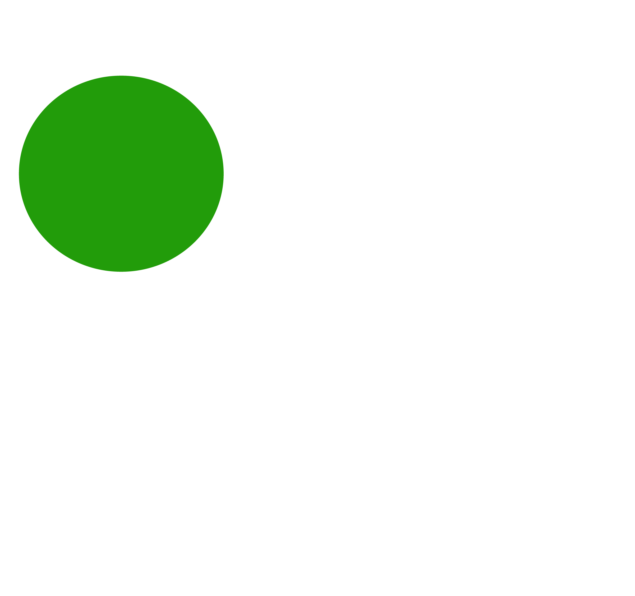 o-orbitie-icon